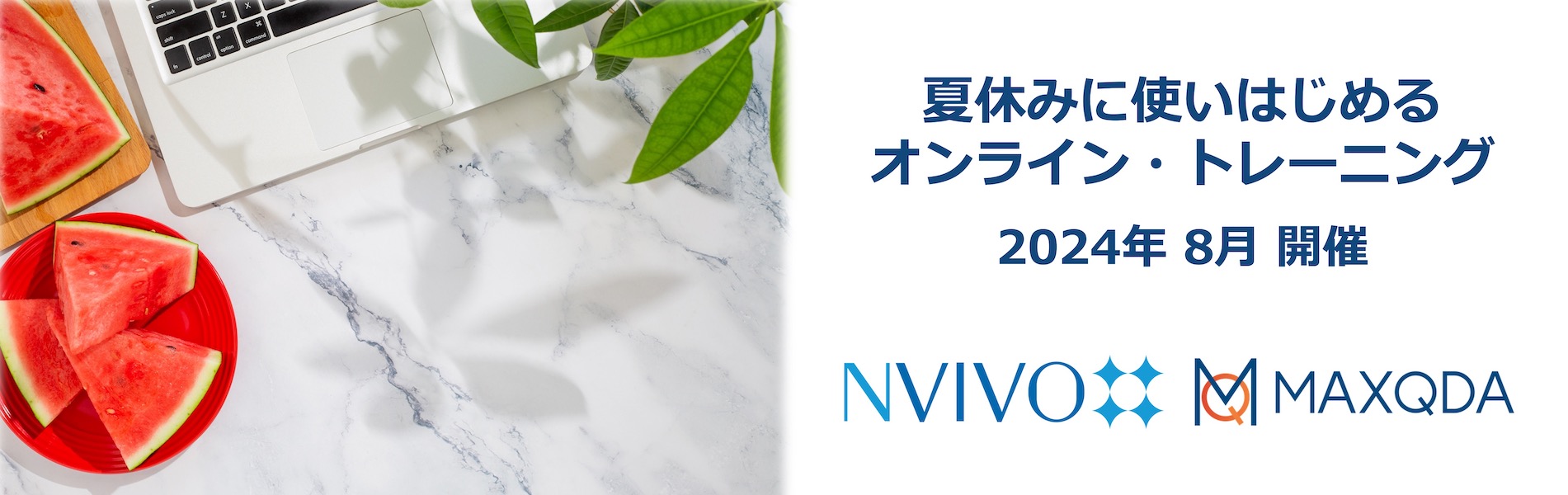 NVivo / MAXQDA online trainings Aug24