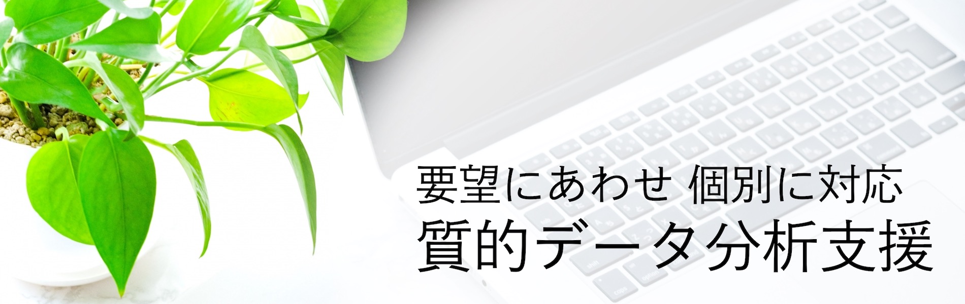 質的データ分析支援サービス